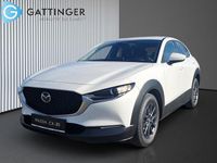 Neu Mazda CX-30 Prime-Line 140 PS (102 kW) 2025 SUV