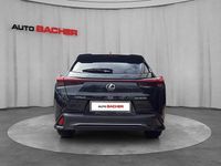 gebraucht Lexus UX 300h F-Sport Design Aut.