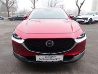 gebraucht Mazda CX-30 G122 Comfort+/SO/ST Aut.