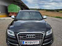 gebraucht Audi SQ5 30 TDI quattro DPF Tiptronic