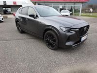 Neu Mazda CX-60 Homura-Line 254 PS (186 kW) 2026 SUV