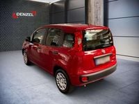 gebraucht Fiat Panda /Pandina MY25