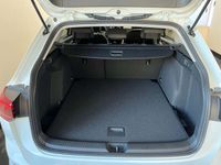 Gebraucht VW Golf VIII 115 PS (84 kW) 2024 Weiss  normal Kombi