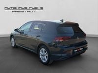 gebraucht VW Golf VIII Life mHeV TSI DSG