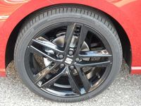 Gebraucht Seat Ibiza FR 95 PS (69 kW) 2024 Mittelrot  metallic Kleinwagen