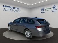 Gebraucht Skoda Octavia Selection 150 PS (110 kW) 2025 Mittelgrau  metallic Kombi