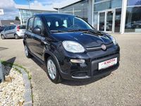 gebraucht Fiat Panda 10 FireFly Hybrid 70 Hybrid