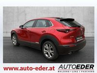 gebraucht Mazda CX-30 e-Skyactive G140 Centre-Line
