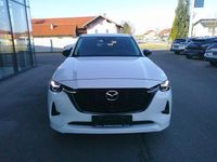 Gebraucht Mazda CX-60 Homura-Line 254 PS (186 kW) 2023 Weiß SUV