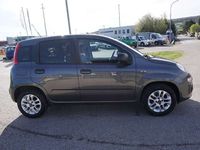 gebraucht Fiat Panda 1,2 69 Easy