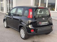 gebraucht Fiat Panda 4x2 FireFly Hybrid 70
