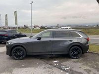 Gebraucht Mazda CX-80 Homura-Line 254 PS (186 kW) 2024 Grau SUV