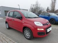 Neu Fiat Panda 69 PS (50 kW) 2025 Rot Limousine