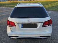 gebraucht Mercedes E220 T Avantgarde CDI Aut./ AMG Paket/ Harman Kardon