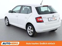 Gebraucht Skoda Fabia Active 75 PS (55 kW) 2016 Weiß Kleinwagen