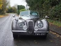 gebraucht Jaguar XK 120 OTS