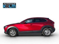 gebraucht Mazda CX-30 /G150/Comfort+/Sound/Style