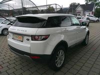 gebraucht Land Rover Range Rover evoque RangePure 22 TD4