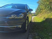 Gebraucht VW Golf VII Highline 116 PS (85 kW) 2019 Limousine