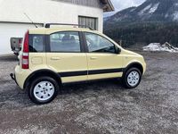 Gebraucht Fiat Panda 4x4 60 PS (44 kW) 2008 Kleinwagen