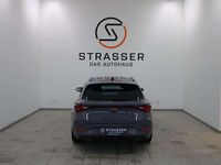gebraucht Cupra Leon TRIBE 2.0 TDI DSG 150