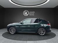 Gebraucht Alfa Romeo Stelvio Veloce 209 PS (153 kW) 2020 Grün SUV