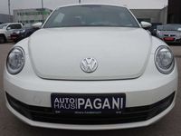 gebraucht VW Beetle 1,2 TSI Herbie Edt.**GELEGENHEIT**