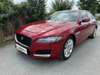 gebraucht Jaguar XF 20d AWD 4x4 Prestige Standhzg AHK LED PI 07/24