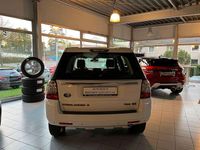 gebraucht Land Rover Freelander 2 Softback 20 Td4 SE
