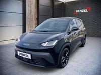 gebraucht BYD Dolphin Surf Comfort