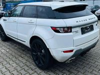 gebraucht Land Rover Range Rover evoque Range Pure 22 eD4