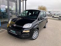 Neu Fiat Panda 69 PS (50 kW) 2026 Kleinwagen