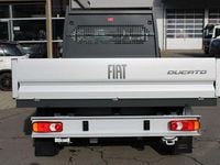 Neu Fiat Ducato 140 PS (102 kW) 2025 Weiß Van