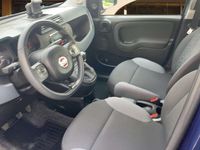 gebraucht Fiat Panda 12 69 Easy