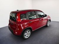 gebraucht Fiat Panda aus Altach - 51 kW und 10 km