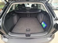 gebraucht VW Golf VIII Variant 20 TDI Life DSG