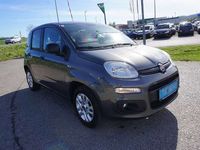 gebraucht Fiat Panda 1,2 69 Easy