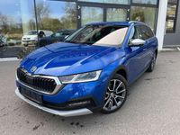 gebraucht Skoda Octavia Scout 20 TDI 4x4 DSG #Matrix#AHV#Navi