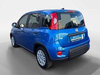 Gebraucht Fiat Panda 71 PS (52 kW) 2024 Blau Limousine