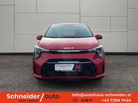 Neu Kia Picanto 68 PS (50 kW) 2026 Kleinwagen