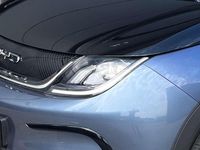 gebraucht BYD Dolphin Design