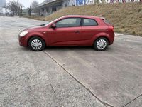 Gebraucht Kia ProCeed 105 PS (77 kW) 2009 Kleinwagen