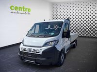 Neu Fiat Ducato 140 PS (102 kW) 2025 Weiß Van