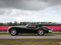 gebraucht Jaguar XK 140 DHC