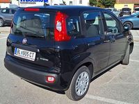gebraucht Fiat Panda / Pandina MY25