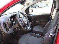 gebraucht Fiat Panda FireFly 70
