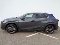 gebraucht Lexus UX 250h Style Edition 1.4kWh Aut.