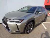 gebraucht Lexus UX 250h Style Edition 1.4kWh Aut. FLA KAM