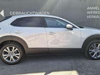 gebraucht Mazda CX-30 e-Skyactive G140 Centre-Line Aut. DESI