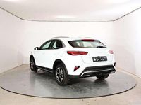 Neu Kia XCeed Silver 150 PS (110 kW) 2025 Weiß SUV